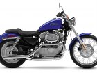 2002 Harley-Davidson Harley Davidson XL 883C Sportster Custom